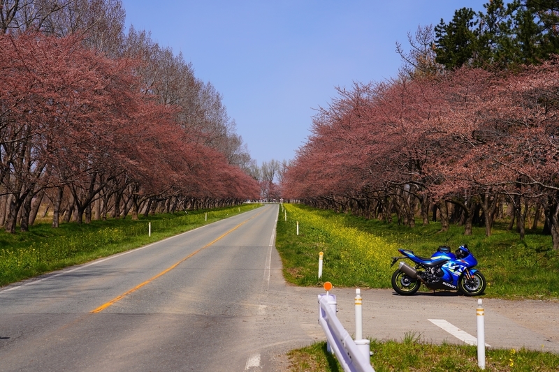 f:id:GSX-R1000:20210423203444j:plain