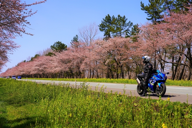 f:id:GSX-R1000:20210423203657j:plain