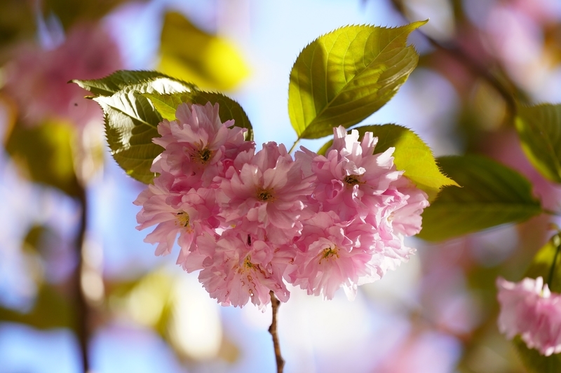 f:id:GSX-R1000:20210511201658j:plain