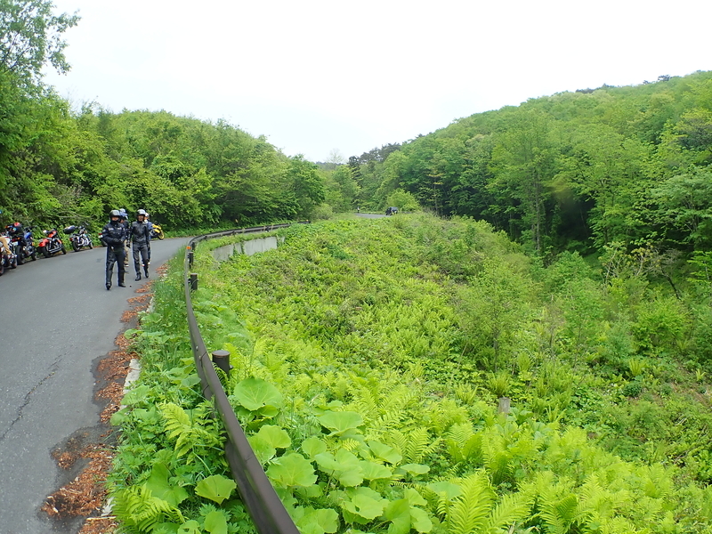 f:id:GSX-R1000:20210518210116j:plain