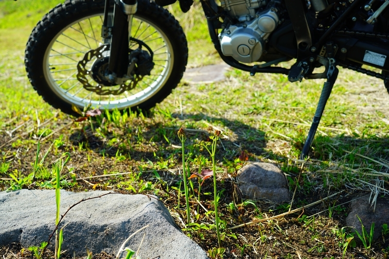 f:id:GSX-R1000:20210525125358j:plain
