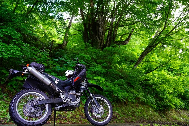 f:id:GSX-R1000:20210610204821j:plain
