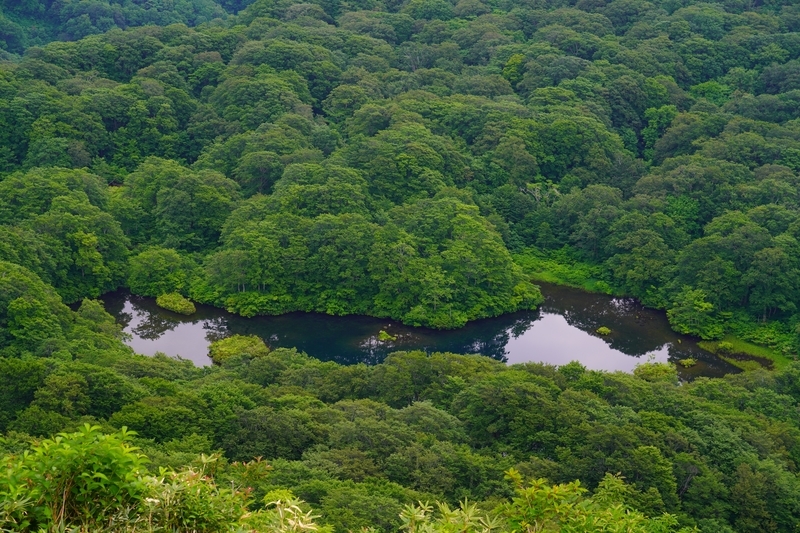 f:id:GSX-R1000:20210715160347j:plain