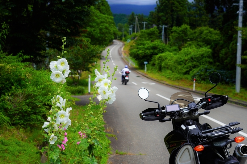 f:id:GSX-R1000:20210716105446j:plain