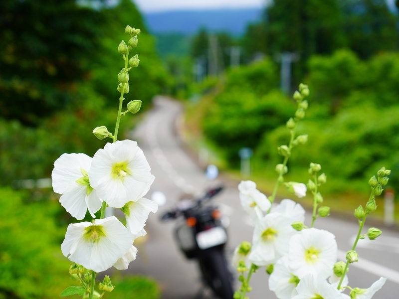 f:id:GSX-R1000:20210717084727j:plain