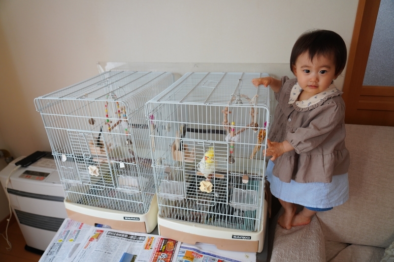 f:id:GSX-R1000:20210815185434j:plain