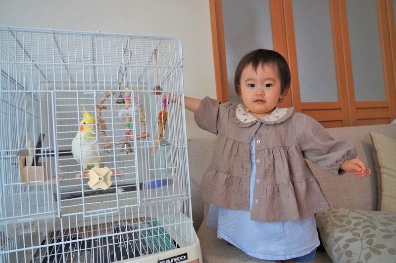 f:id:GSX-R1000:20210815185445j:plain