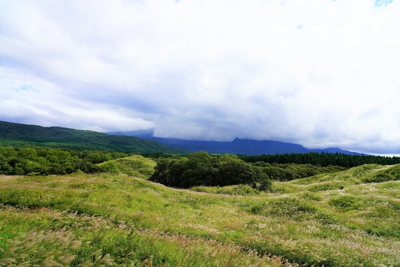 f:id:GSX-R1000:20210906194300j:plain