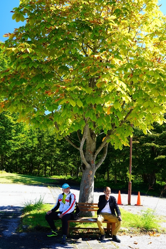 f:id:GSX-R1000:20210923175508j:plain