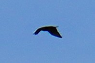 f:id:GSX-R1000:20211020173723j:plain