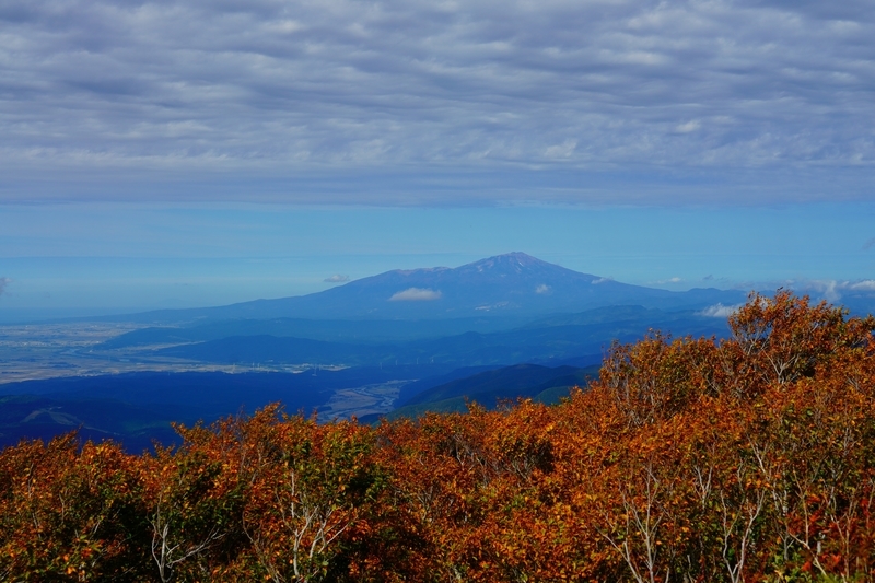 f:id:GSX-R1000:20211104201705j:plain