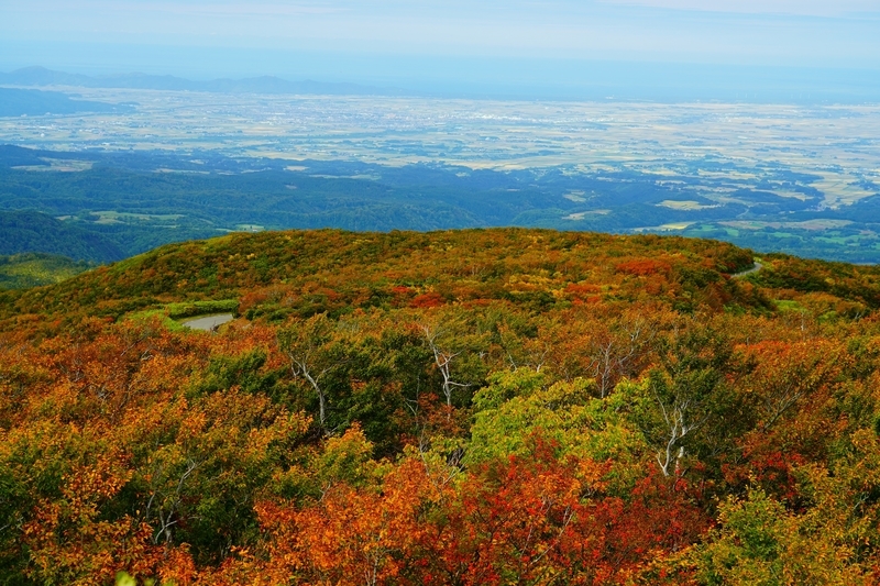 f:id:GSX-R1000:20211104201738j:plain