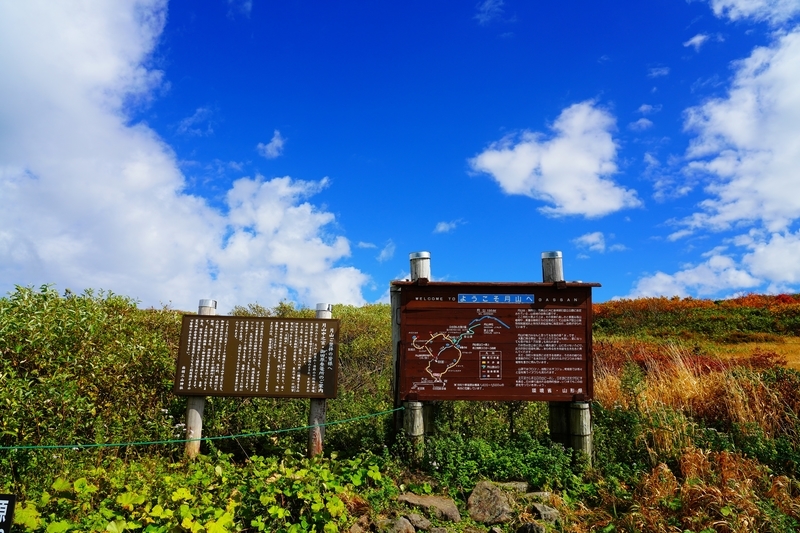 f:id:GSX-R1000:20211104201844j:plain