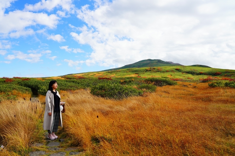 f:id:GSX-R1000:20211104201958j:plain