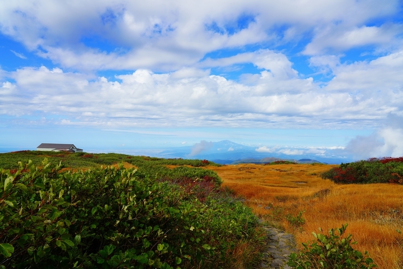 f:id:GSX-R1000:20211104202006j:plain