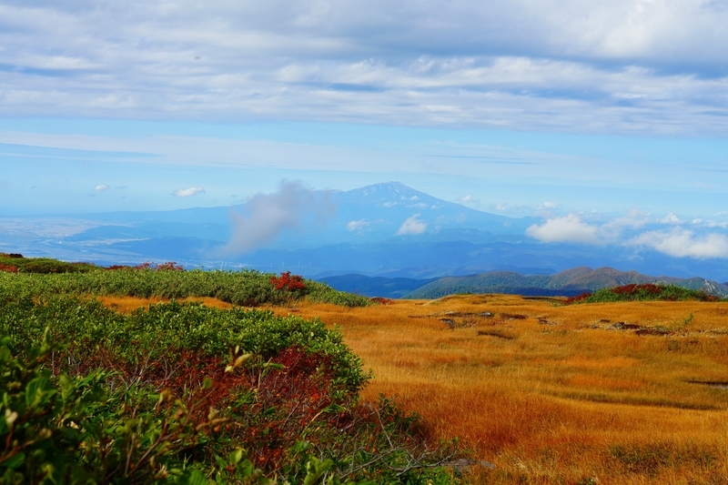 f:id:GSX-R1000:20211104202014j:plain