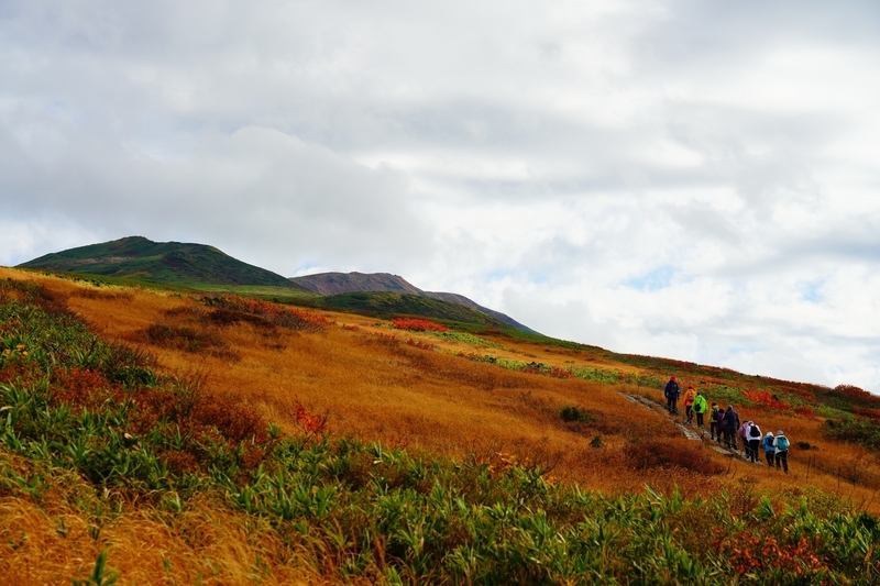 f:id:GSX-R1000:20211104202042j:plain