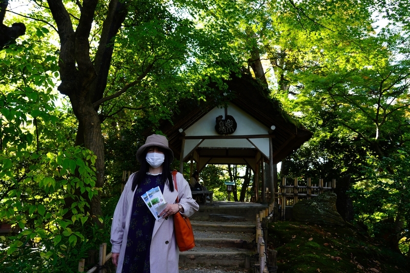 f:id:GSX-R1000:20211112224848j:plain