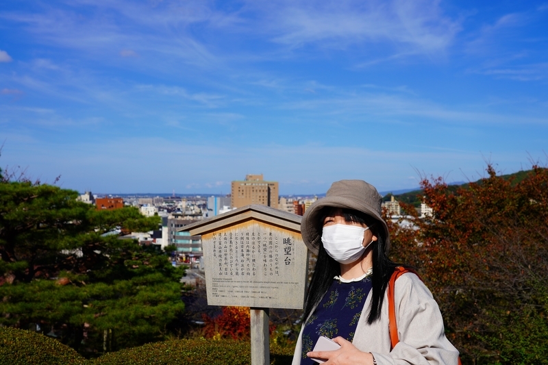 f:id:GSX-R1000:20211112224940j:plain