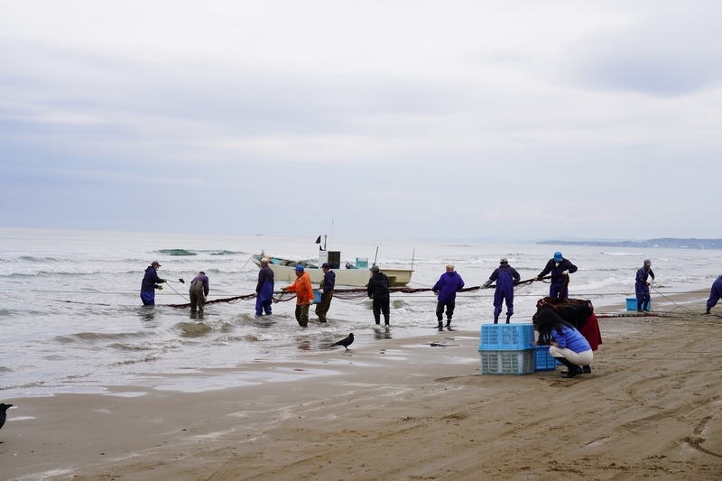 f:id:GSX-R1000:20211116191744j:plain