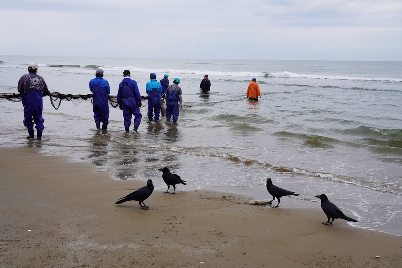 f:id:GSX-R1000:20211116191759j:plain