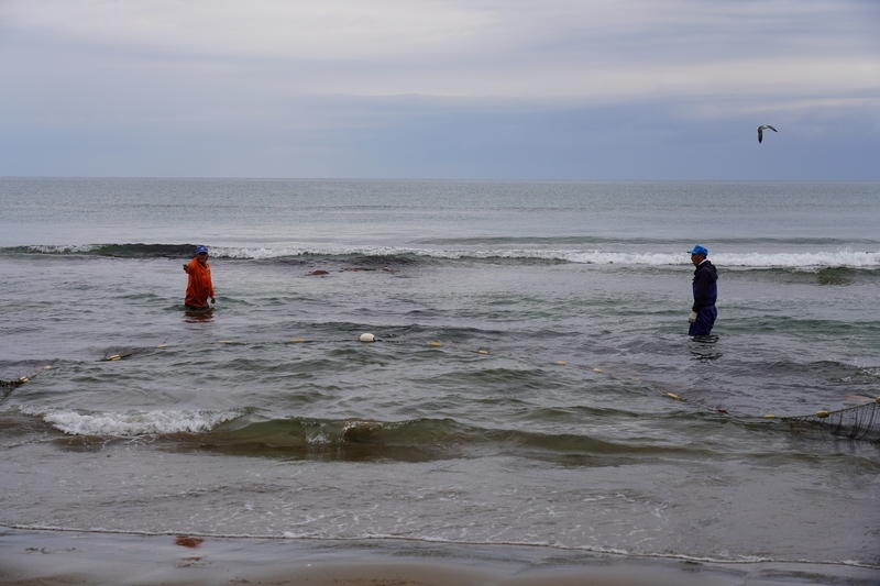 f:id:GSX-R1000:20211116191949j:plain