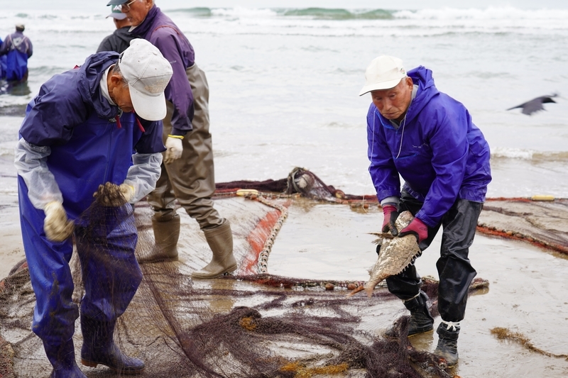 f:id:GSX-R1000:20211116192106j:plain