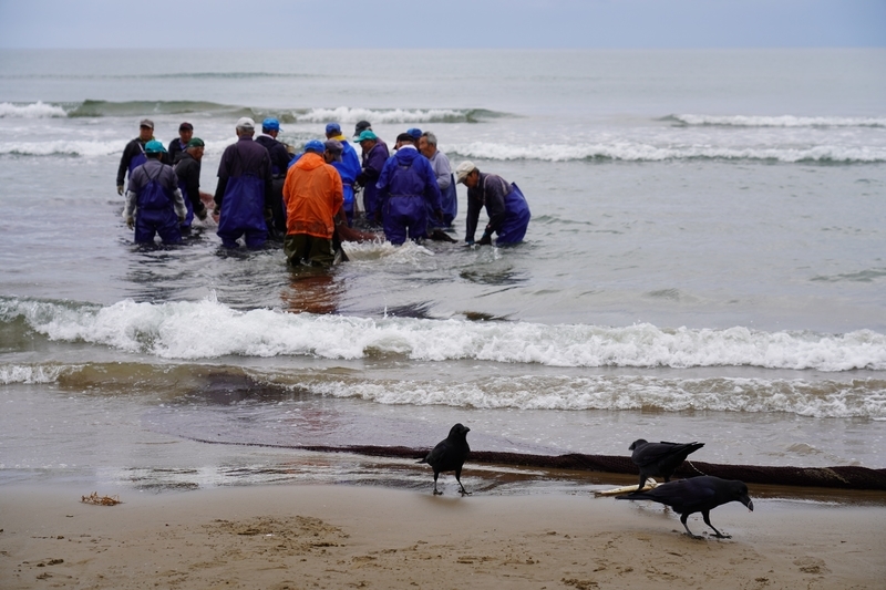 f:id:GSX-R1000:20211116192218j:plain