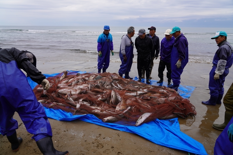 f:id:GSX-R1000:20211116192356j:plain