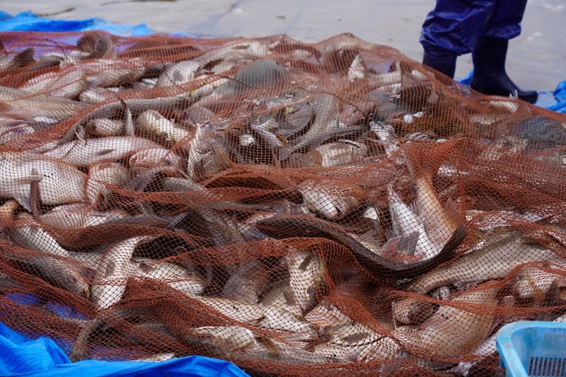 f:id:GSX-R1000:20211116192403j:plain