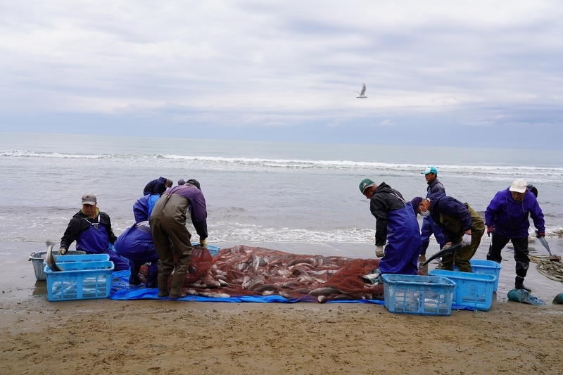 f:id:GSX-R1000:20211116192433j:plain