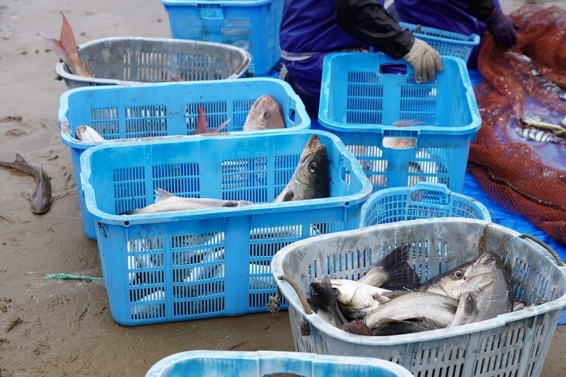 f:id:GSX-R1000:20211116192454j:plain