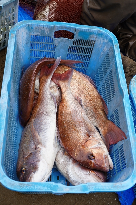 f:id:GSX-R1000:20211116192501j:plain