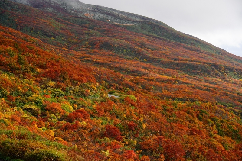 f:id:GSX-R1000:20211201202907j:plain