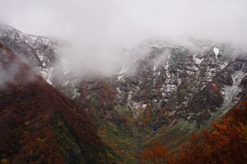 f:id:GSX-R1000:20211201202942j:plain