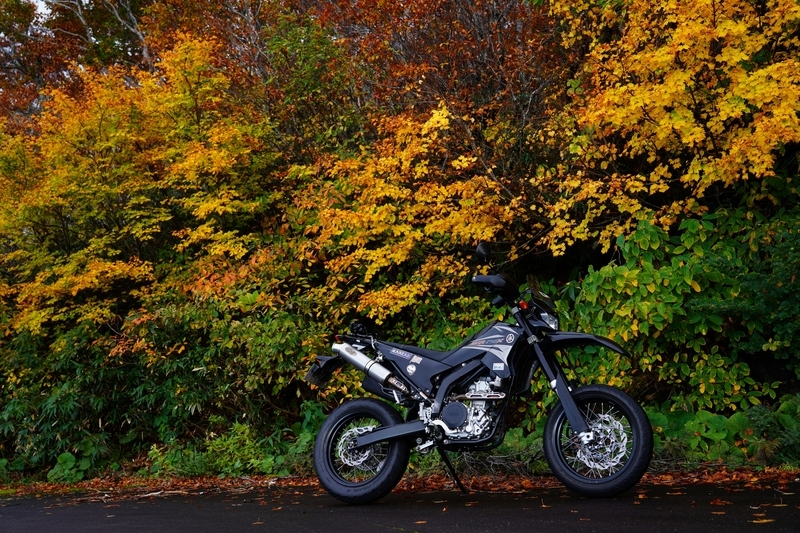 f:id:GSX-R1000:20211201202951j:plain