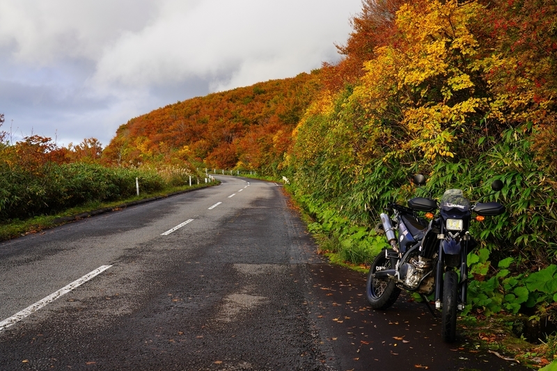 f:id:GSX-R1000:20211201203040j:plain