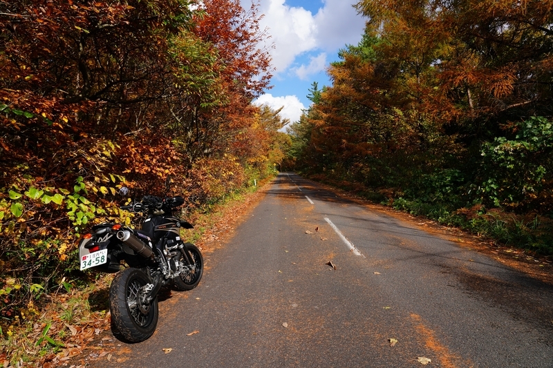 f:id:GSX-R1000:20211201203228j:plain