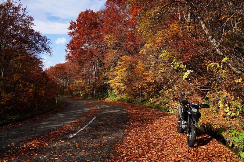 f:id:GSX-R1000:20211201203303j:plain