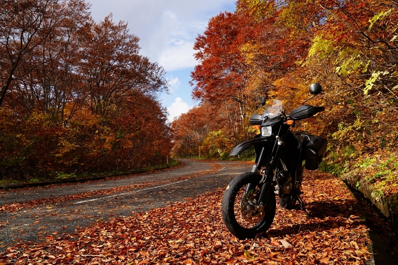 f:id:GSX-R1000:20211201203312j:plain