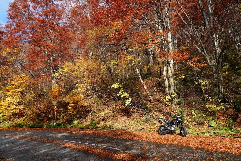 f:id:GSX-R1000:20211201203328j:plain