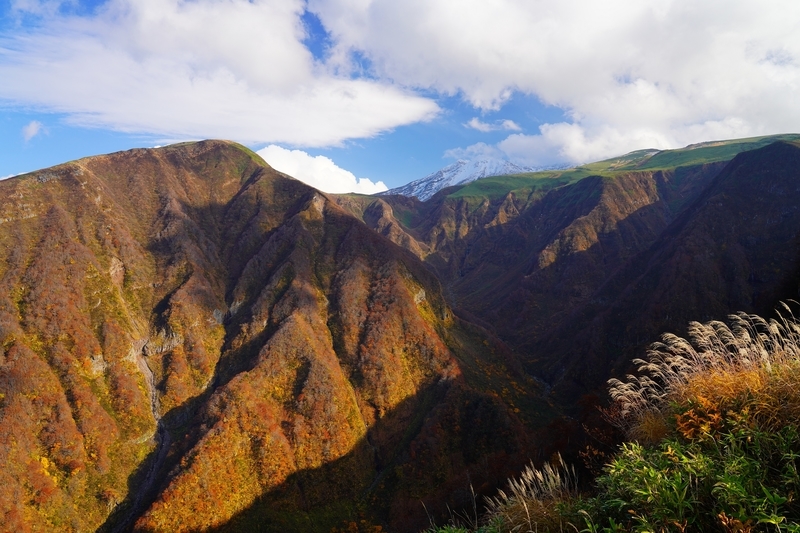 f:id:GSX-R1000:20211201203441j:plain