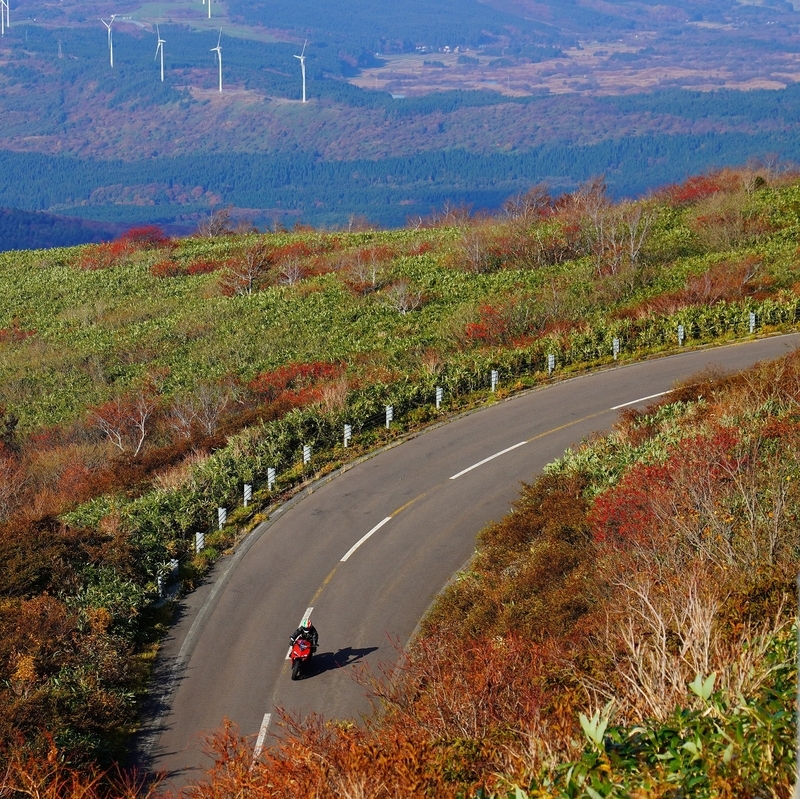 f:id:GSX-R1000:20211201203538j:plain