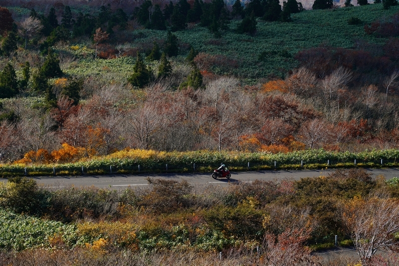 f:id:GSX-R1000:20211201203545j:plain