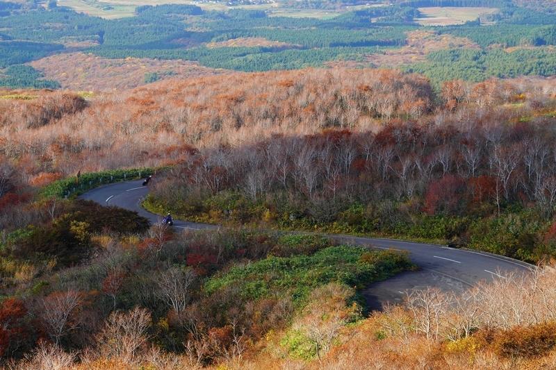 f:id:GSX-R1000:20211201203554j:plain