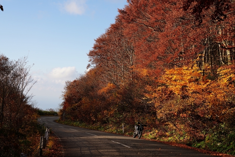 f:id:GSX-R1000:20211201203652j:plain