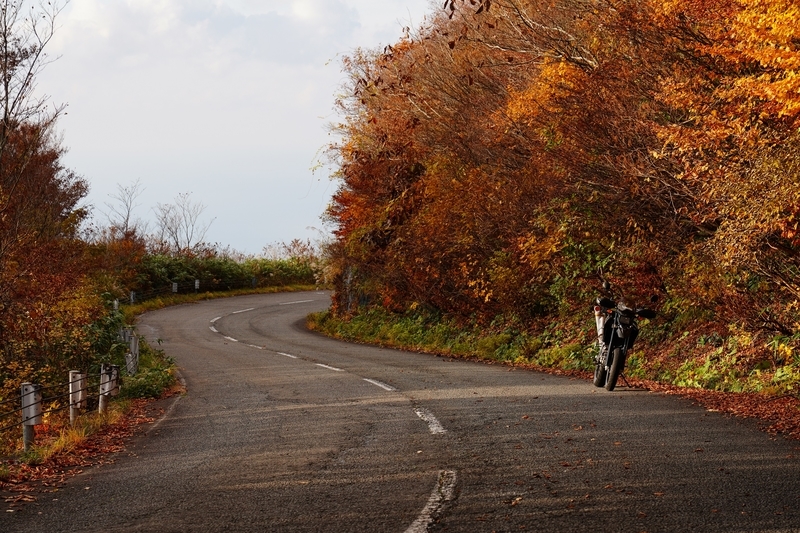 f:id:GSX-R1000:20211201203700j:plain
