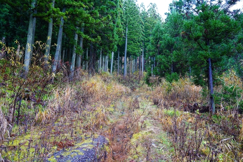 f:id:GSX-R1000:20211205182715j:plain