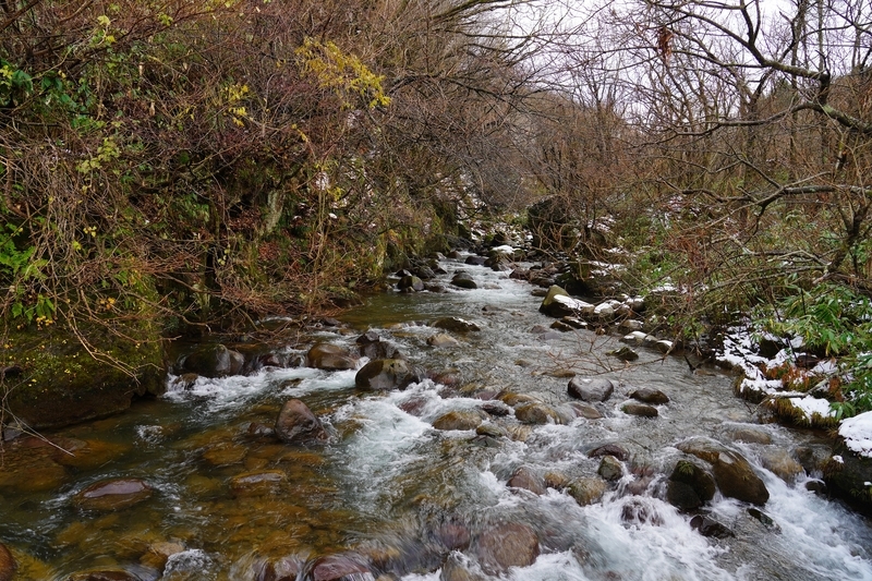 f:id:GSX-R1000:20211205182955j:plain