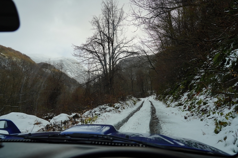 f:id:GSX-R1000:20211205183029j:plain